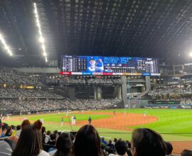 野球観戦