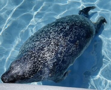 旭山動物園