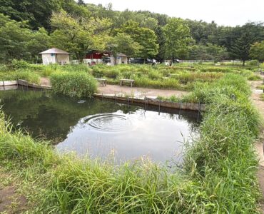 秘密の釣り堀